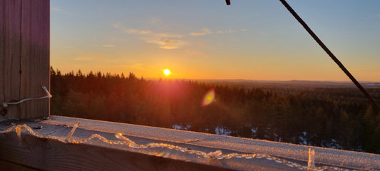 Kokonaisvaltainen suoliston hyvinvointi: lempeä ja vaiheittainen lähestymistapa // Holistic Gut Healing: A Gentle, Step-by-Step Approach