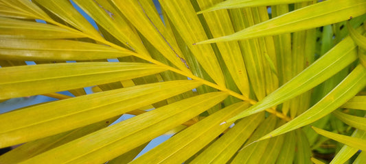 Sairaana töissä? // Presenteism - cost of poor well-being